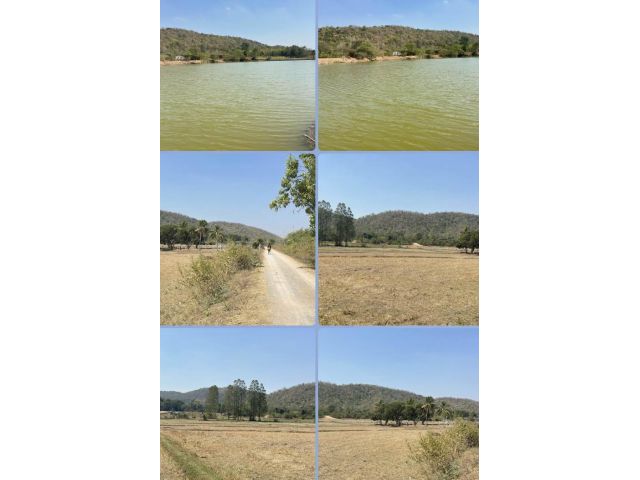 ที่ดิน วิวภูเขา น้ำ ทุ่งนา