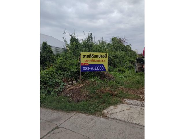 ที่ดิน 81 ตารางวา ซ.อัสสัมชัญ5