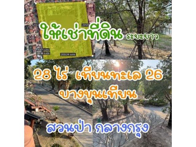 ให้เช่าที่ดิน 28 ไร่ เทียนทะเล 26 บางขุนเทียน รั้วล้อมรอบ มีต้นไม้ใหญ่ สระน้ำตรงกลาง ทำเลเยี่ยม ให้เช่าระยะยาว ค่าเช่าถู