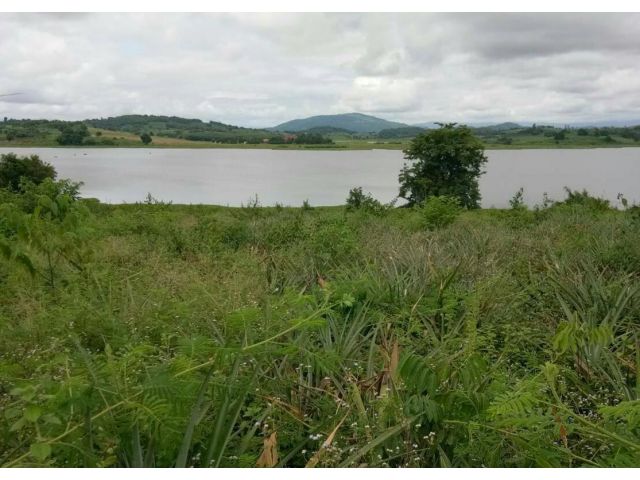 ขายที่ดิน 68 ไร่ ติดทะเลสาบเชียงแสน อ.เชียงแสน จ.เชียงราย
