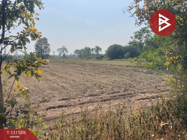 ขายที่ดิน เนื้อที่ 21 ไร่ 2 งาน 8 ตร.วา ประโคนชัย บุรีรัมย์