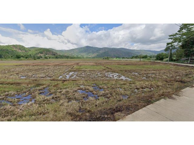 ขายที่ดิน 6 ไร่ ใกล้มหาวิทยาลัยแม่ฟ้าหลวง อ.เมือง จ. เชียงราย