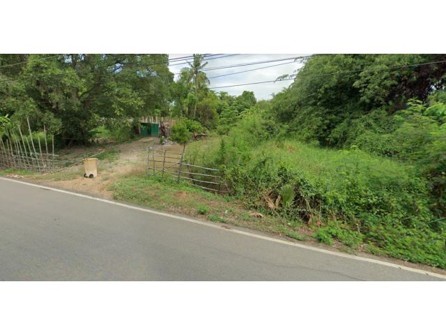 ขายที่ดิน 49 ไร่ คลองสิบ ใกล้โรงพยาบาลหนองเสือ อ.หนองเสือ จ.ปทุมธานี