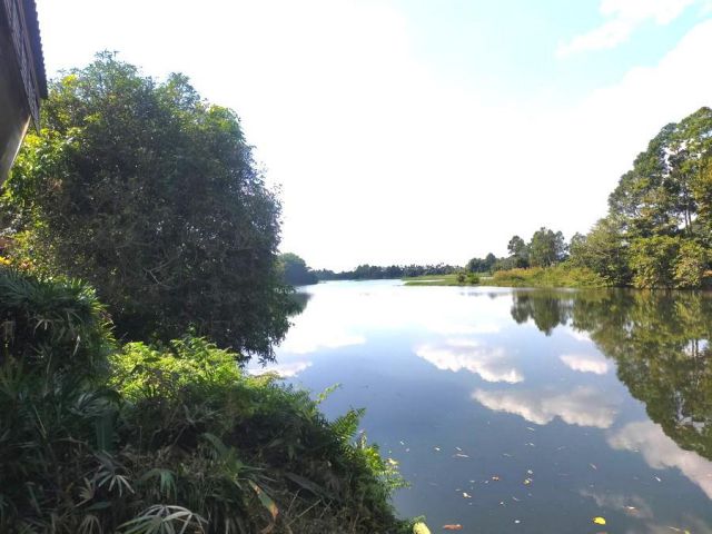 !!!เสนอขายที่ดินติดแม่น้ำจันทบุรียาว 200 เมตร!!! เป็นสวนมังคุดต้นใหญ่เต็มแปลง เนื้อที่ 9 ไร่ ใกล้ตัวเมืองจันทบุรี จังหวั