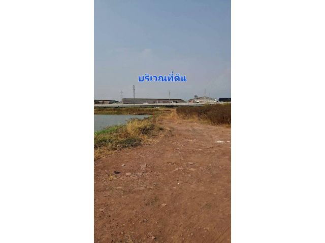 ขาย ที่ดินจัดสรร 79 ตรว.ใกล้วัดหัวกระบือ, ท่าข้าม, พระราม2,กรุงเทพฯ ใกล้ทางด่วนพระราม