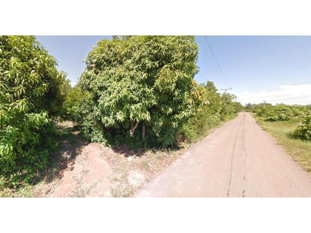 ขายที่ดิน 7 ไร่ ติดถนนลาดยาง ใกล้วัดมงคลเทพ อ.บางคล้า จ.ฉะเชิงเทรา