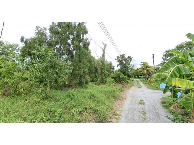 ขายที่ดิน 2 ไร่ คลอง 7 ติดถนนสาธารณะ อ.ธัญบุรี จ.ปทุมธานี