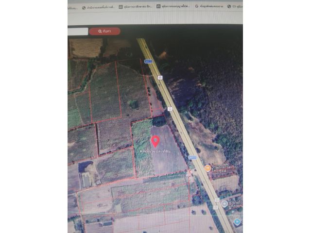 ด่วนที่สุด ขายที่ดินติดทางหลวง 11 จำนวน 28 ไร่ 3 งาน 48 ตารางวา