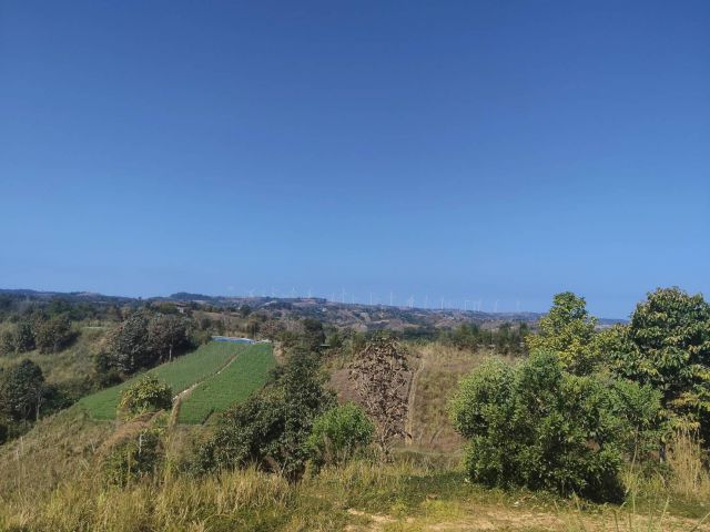 ด่วนที่สุด ขายที่ดินวิวทุ่งกังหันลม ผาตัด วัดผาซ่อนแก้ว เขาค้อ จำนวน 35 ไร่