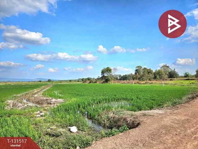 ขายที่ดิน เนื้อที่ 2 ไร่ 90 ตร.วา ปากพลี นครนายก