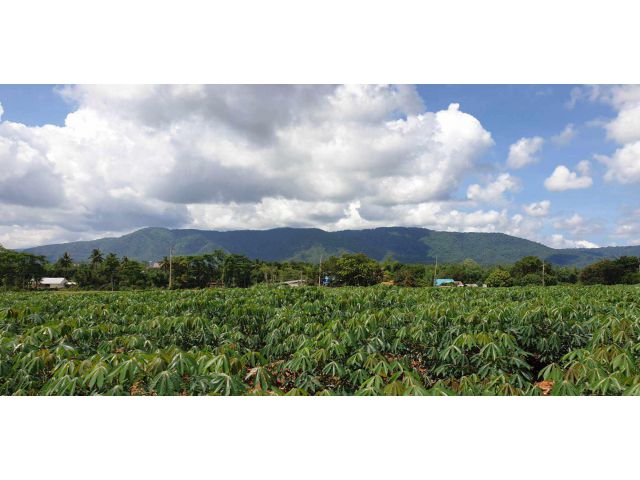 ขายที่ดินเขาใหญ่ เขาใหญ่ปากช่อง วิวภูเขามองเห็นทอสกาน่า