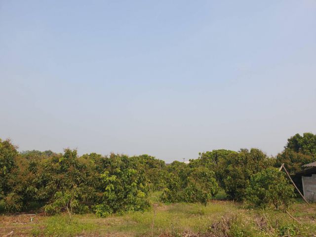 ที่ดิน 6 ไร่, 78 ตารางวา น้ำประปา&ไฟฟ้าพร้อม