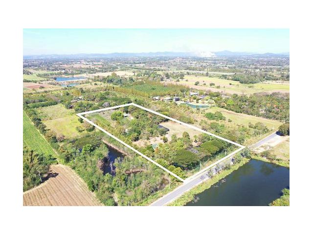 ขายที่ดินเขาใหญ่ (ไร่แม่กระต่ายน้อย) แถมบ้านหลังเล็ก 8 หลัง