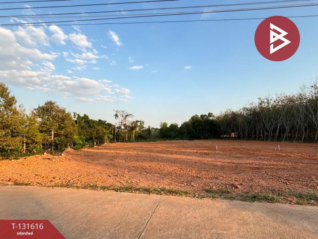 ขายที่ดิน เนื้อที่ 1 งาน 1 ตร.วา แกลง ระยอง