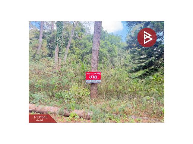 ขายที่ดิน เนื้อที่ 1 งาน 32 ตร.วา แม่ริม เชียงใหม่