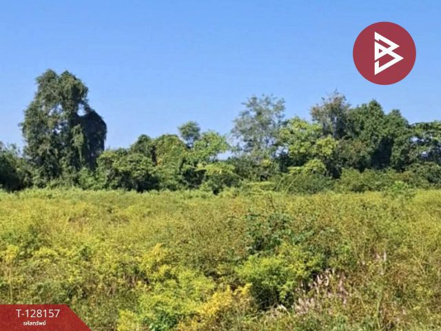 ขายที่ดินพร้อมสิ่งปลูกสร้าง เนื้อที่ 67 ไร่ 1 งาน 51 ตารางวา ป่าอ้อดอนชัย เชียงราย