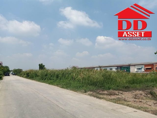 ขายที่ดิน ลำลูกกาคลอง4 ถนนไสวประชาราษฎร์ ซอยไสวประชาราษฎร์19 ใกล้วงแหวนลำลูกกา