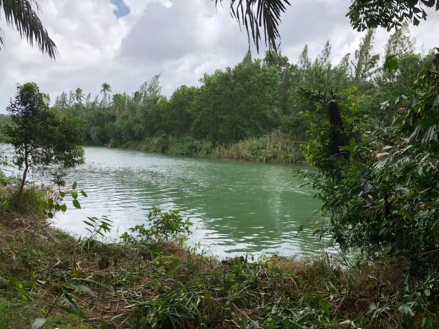 ขายที่ดินแปลงสวย 20 ไร่ หน้ากว้างติดแม่น้ำ คลองย่อน 200 กว่าเมตร ใกล้เขตเทศบาล ตำบลคุระ อำเภอคุระบุรี จังหวัดพังงา