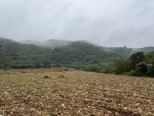 ที่ดินแบ่งแปลงวิวภูเขา ต.ขนงพระ บ้านคลองหินลาด