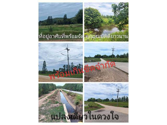 !นื่องด้วยแปลงนี้สวยจริง เราจึงไม่สามารถปฏิเสธได้ โปรดเข้าใจตรงกันนะครับ ไม่ดีไม่เอาอะไรเทาๆเราไม่บอก แปลงนี้ดีเราเลยบอก