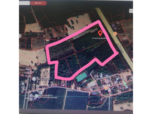 ด่วนที่สุด ขายที่ดินติดทางหลวงมิตรภาพ ขาเข้าอุดรธานี จำนวน 83 ไร่ 1 งาน 62 ตารางวา