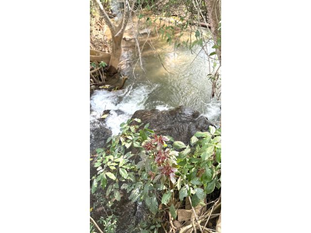 ขายที่ดินวิวดอยหลวงติดน้ำตกเชียงดาวโฉนด