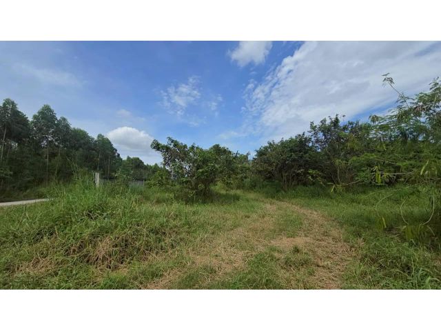 ขายที่ดิน บ้านบึง ชลบุรี 5 ไร่ 1 งาน 46 ตร.ว. ทำเลดี เหมาะลงทุน