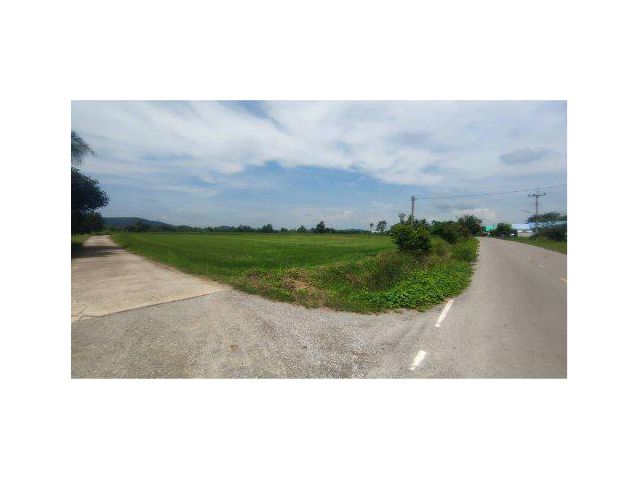 ขายที่ดิน 16 ไร่ ใกล้วัดเขาช่องพราน ถ้ำค้างคาว ต.เตาปูน อ.โพธาราม จ.ราชบุรี