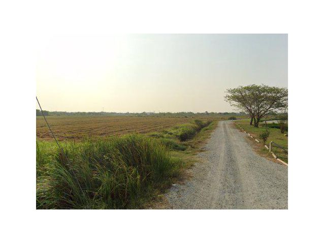 ขายที่ดิน 4 ไร่ ใกล้วัดดอนทราย ต.ดอนทราย อ.บ้านโพธิ์ จ.ฉะเชิงเทรา