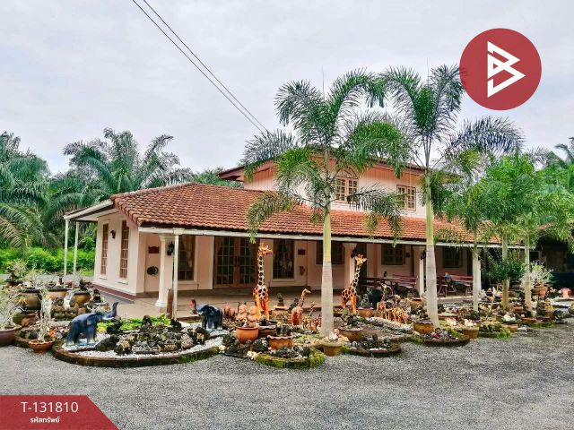 ขายที่ดินสวนปาล์มน้ำมันพร้อมสิ่งปลูกสร้าง เนื้อที่ 13 ไร่ 91 ตารางวา ต.ทรัพย์อนันต์ อ.ท่าแซะ จ.ชุมพร