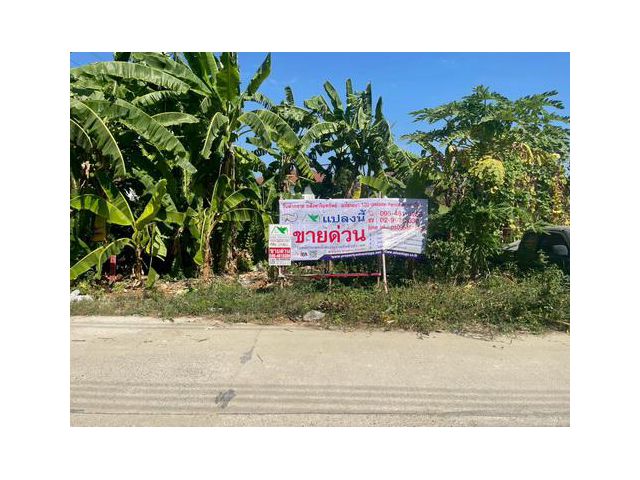 ขายที่ดินเปล่า 119 ตร.ว. แปลงสี่เหลี่ยมสวย  ซอยคลองหลวง33 ต.คลองหนึ่ง อ.คลองหลวง จ.ปทุมธานี
