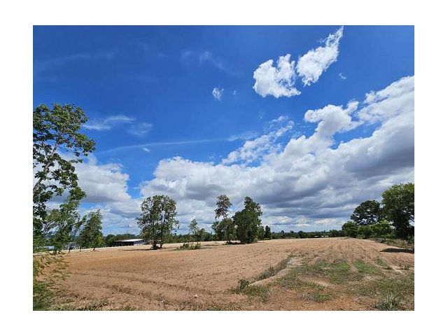 ขายที่ดินปักธงชัย ติดถนนลาดยาง วิวภูเขา ใกล้จิมทอมป์สันฟาร์ม