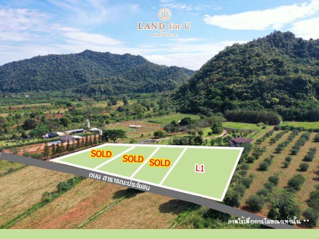 ขายที่ดินเขาใหญ่ ตารางวาละ 12,000 บาท วิวสวย เขาล้อมรอบ ติดถนน
