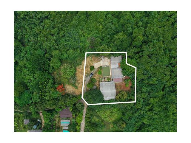 ขายที่ดินพร้อมบ้านเขาใหญ่ ถนนทางหลวงชนบท 1016 (สายกุดคล้า-ผ่านศึก) เขาใหญ่ปากช่อง