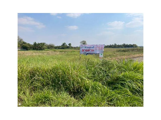 ที่ดิน 1-3-59.0 ไร่ ต.ขามทะเลสอ อ.ขามทะเลสอ จ.นครราชสีมา