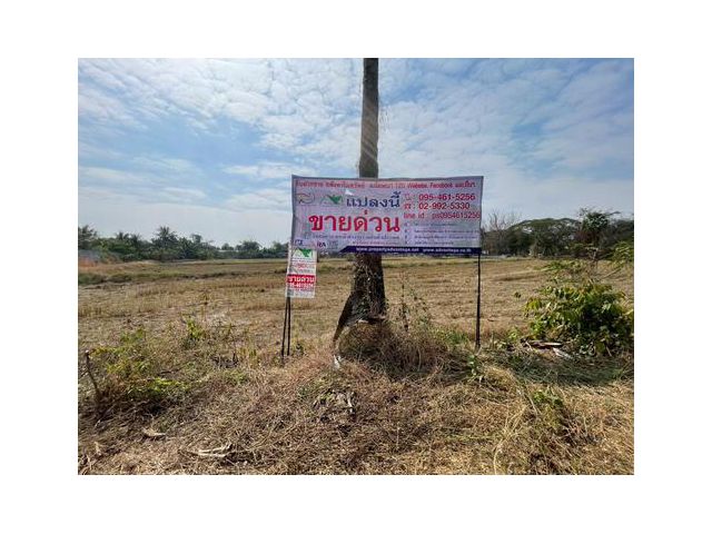 ที่ดิน 3 งาน 78.0 ตรว. ต.ขามทะเลสอ อ.ขามทะเลสอ จ.นครราชสีมา