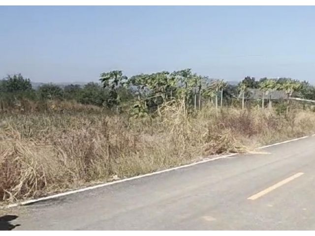 ขายที่ดินโฉนด5ไร่ ไร่ละ 3ล้านบาท ตำบลขนงพระ