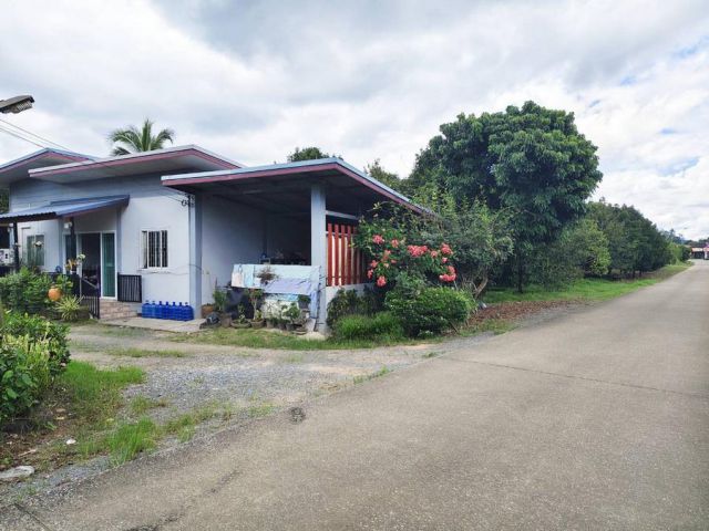 เสนอขายบ้านพร้อมอยู่อาศัย ติดถนนคอนกรีต เนื้อที่ 41 ตารางวา ใกล้สี่แยกไฟแดงกระทิง ตำบลพลวง อำเภอเขาคิชฌกูฏ จังหวัดจันทบุ