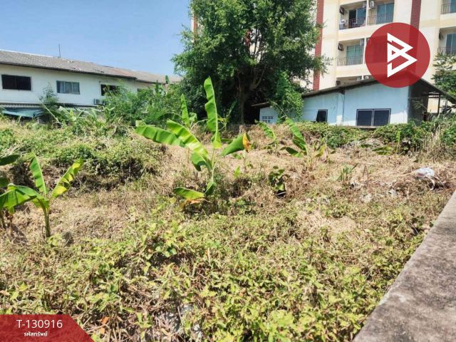 ขายที่ดิน เนื้อที่ 200 ตร.วา หนองปรือ บางละมุง ชลบุรี