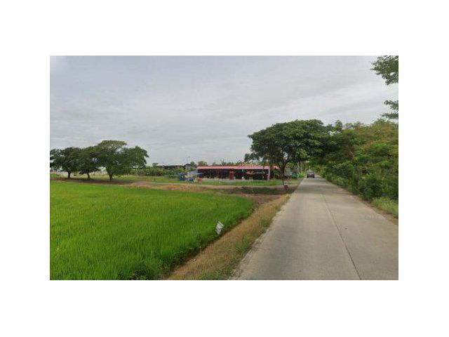 ขายที่ดิน 15 ไร่ คลองหก ต.คลองหก อ.คลองหลวง จ.ปทุมธานี