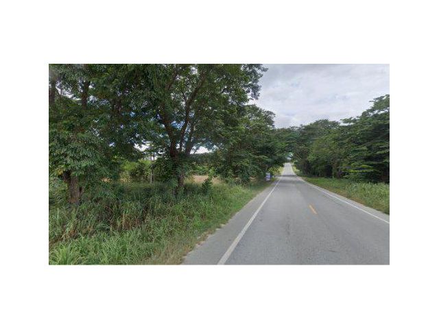 ขายที่ดิน 25 ไร่ ถนนนิคมพัฒนาซอย 12 ถนน รย.2026 ต.พนานิคม อ.นิคมพัฒนา จ.ระยอง