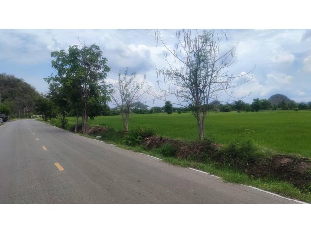 ขายที่ดิน 16 ไร่ ใกล้วัดเขาช่องพราน ถ้ำค้างคาว ต.เตาปูน อ.โพธาราม จ.ราชบุรี