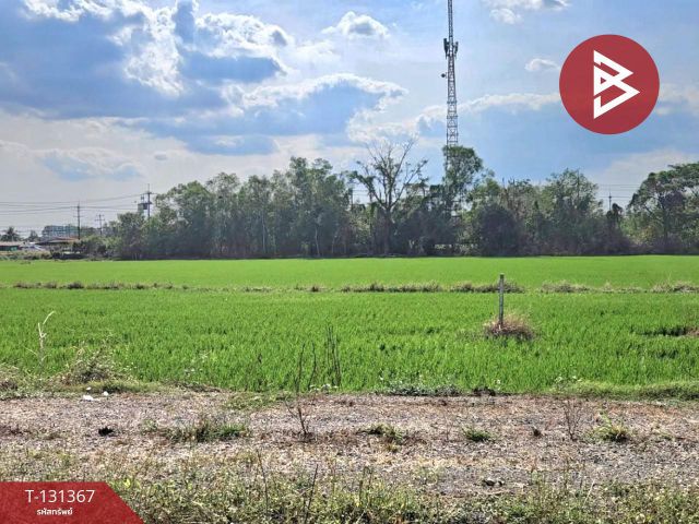 ขายที่ดิน เนื้อที่ 6 ไร่ 3 งาน 0.2 ตร.วา ปากพลี นครนายก