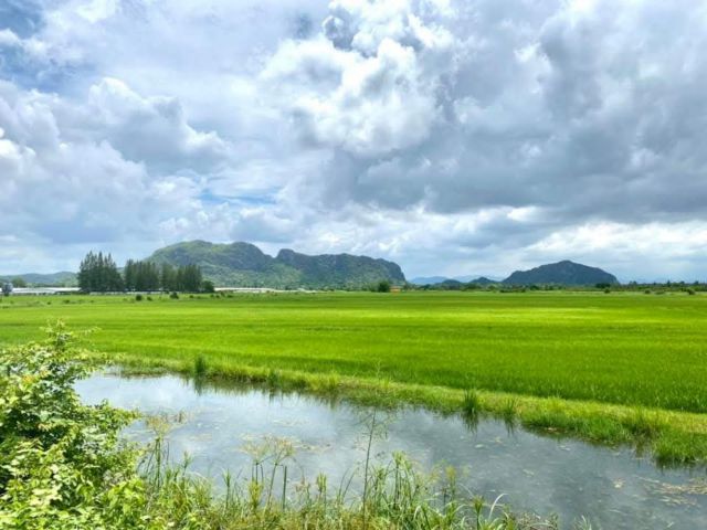 ขายที่ดินโฉนด 4ไร่ 3งาน ติดคลองชลประทาน ดินดี น้ำดี อุดมสมบูรณ์ วิวเขาชัด เหมาะทำเกษตร ยกร่องสวน ปากท่อ ราชบุรี