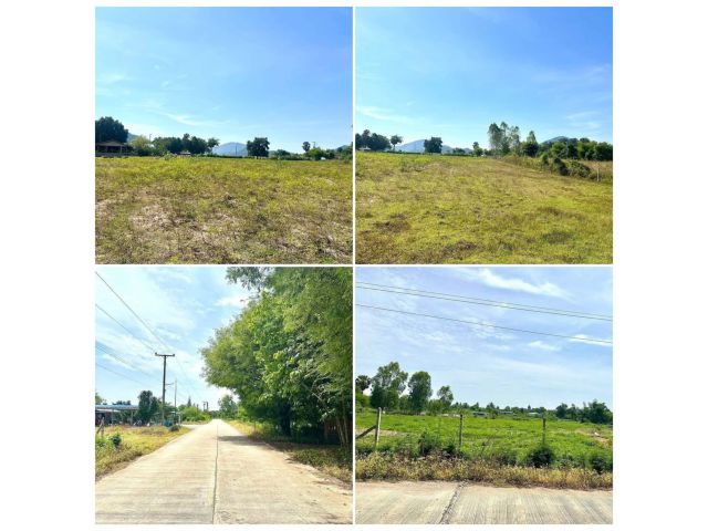 เเบ่งขาย!! ที่ดินโฉนด 3 ไร่ 400,000 ติดถนนคอนกรีต น้ำไฟผ่าน เขตชุมชน เหมาะปลูกบ้าน ที่ดอน ไม่ต้องถมสูง ปากท่อ ราชบุรี