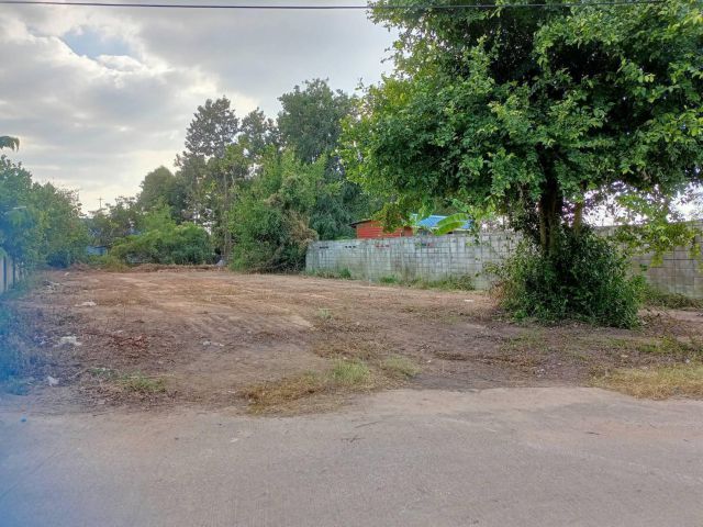 ขายที่ดินหนองปรือ พัทยา 199 ตรว.ถมแล้วซอยร่วมสุข12 ใกล้อ่างเก็บน้ำมาบประชัน-1.9กม. อ.บางละมุง ชลบุรี