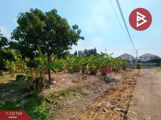 ขายที่ดิน เนื้อที่ 3 งาน 47 ตร.วา บางบัวทอง นนทบุรี