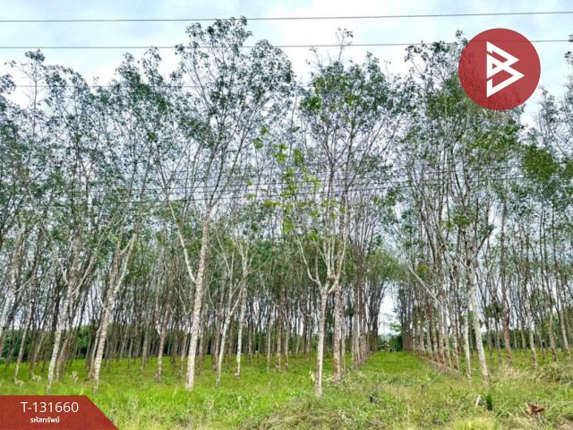 ขายที่ดิน เนื้อที่ 8 ไร่ 1 งาน 77 ตร.วา มะขาม จันทบุรี