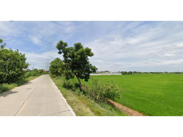 ขายที่ดิน 51 ไร่ ติดถนนสองด้าน อ.สามโคก จ.ปทุมธานี