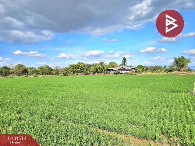 ขายที่ดิน เนื้อที่ 6 ไร่ 90 ตร.วา ปากพลี นครนายก